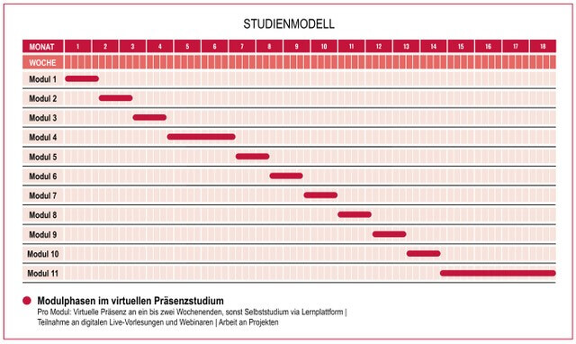 Studienmodell Bachelor of Science