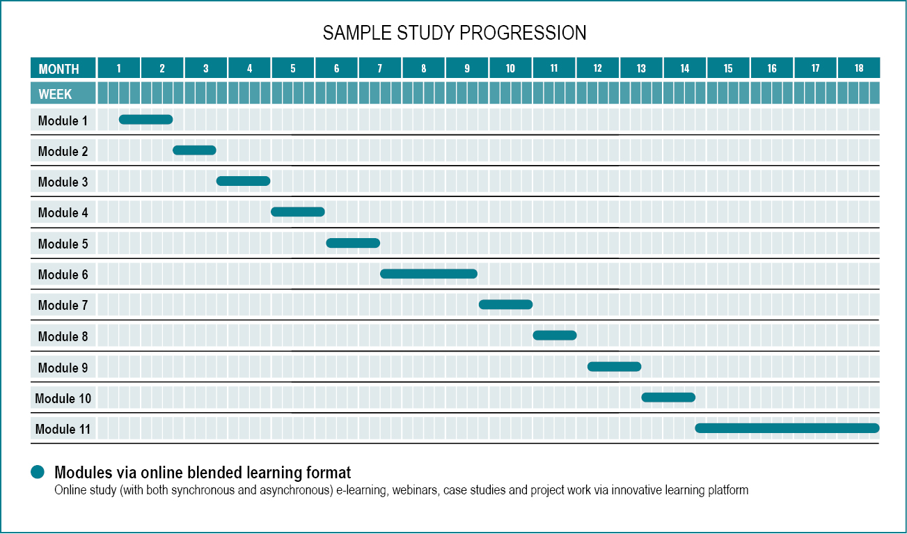 Practicum Report Sample Introduction For Research